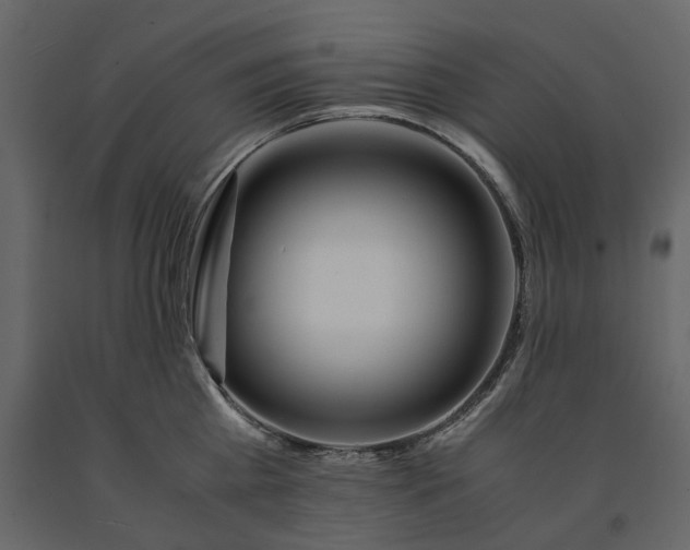 X0000091240809200708231716
