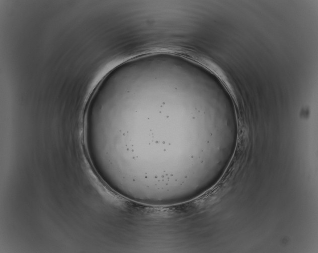 X0000091240811200708231716