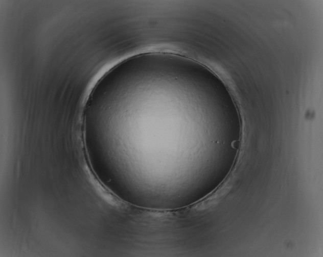 X0000091240816200708231715