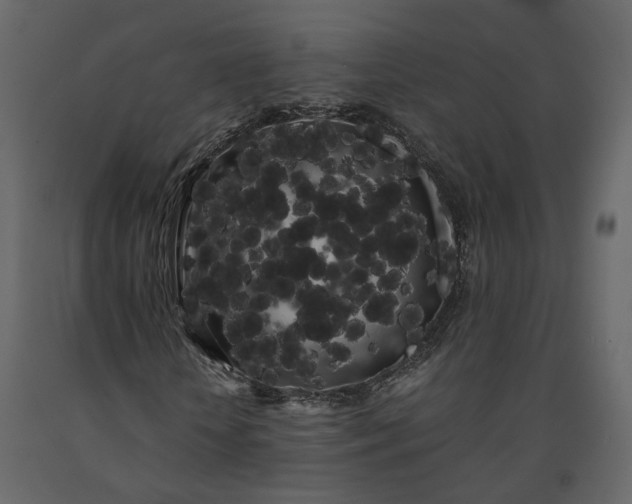X0000091240818200708231715