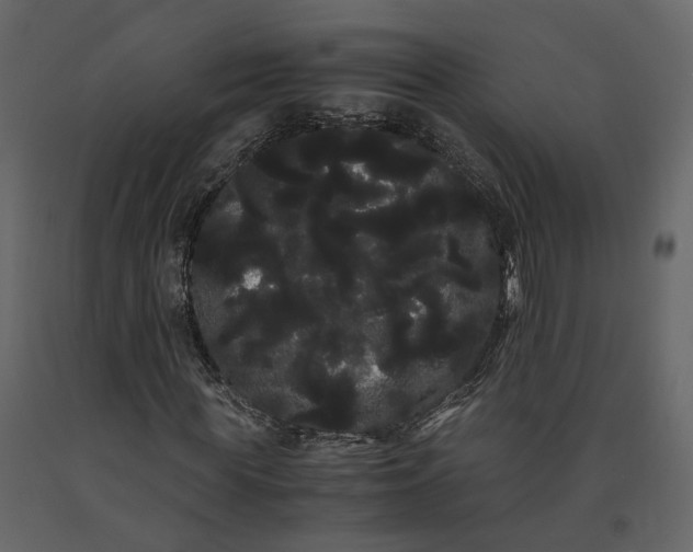 X0000091240819200708231715