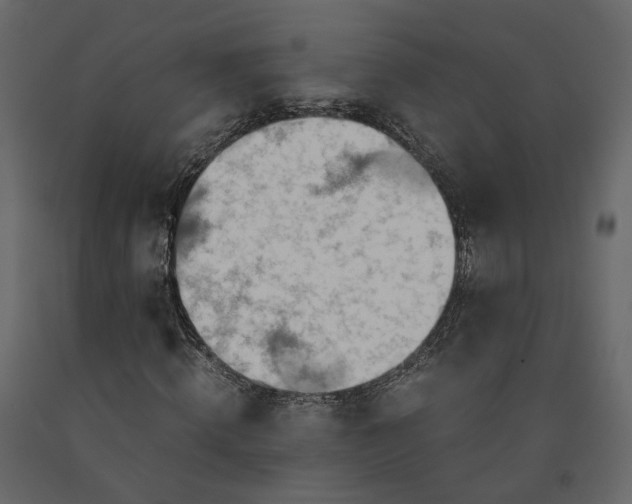 X0000091240820200708231715