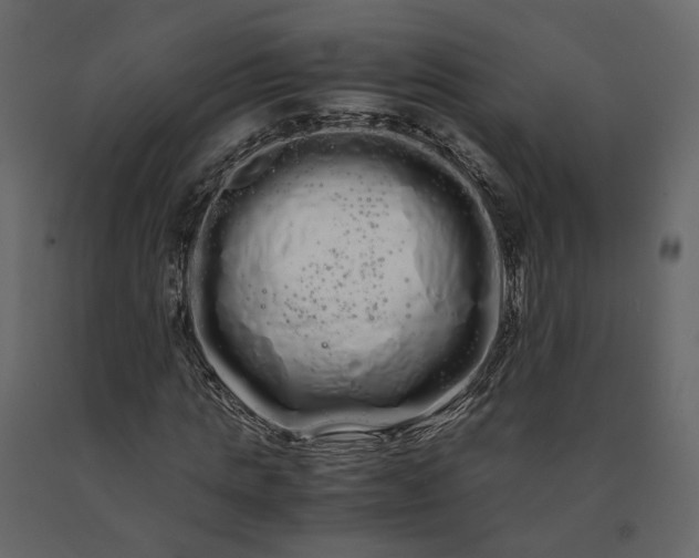X0000091240821200708231715
