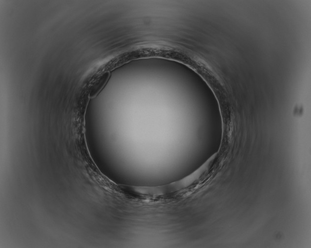 X0000091240822200708231715