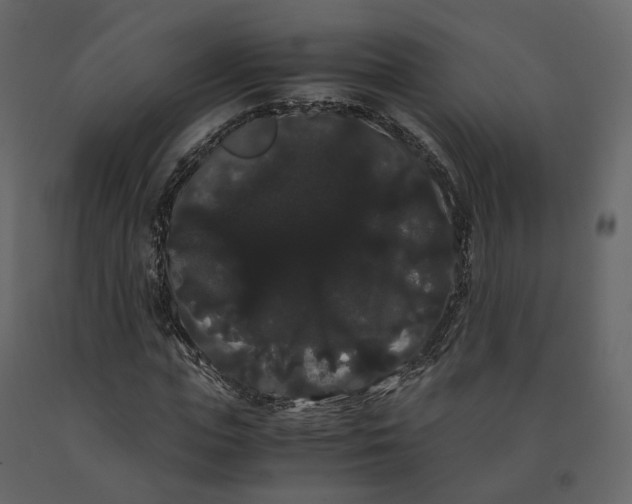 X0000091240823200708231715