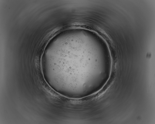 X0000091240825200708231715