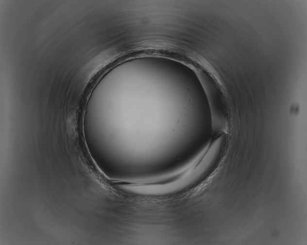 X0000091240826200708231715