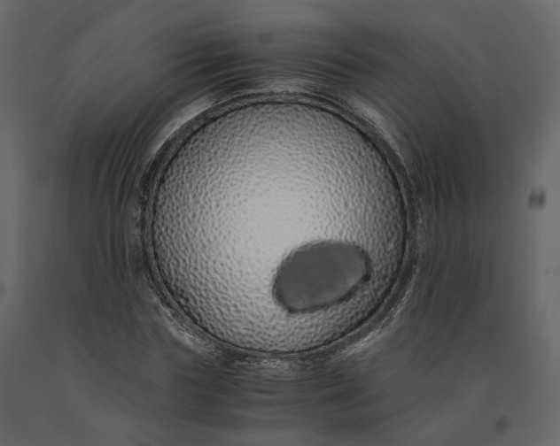 X0000091240827200708231715