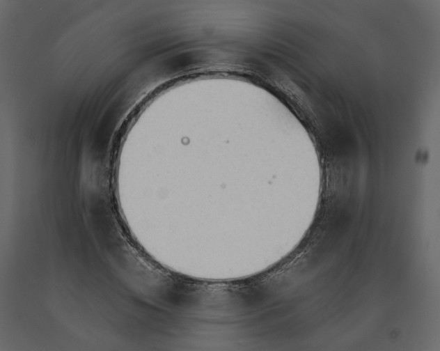 X0000091240828200708231715