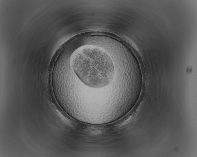 X0000091240831200708231715