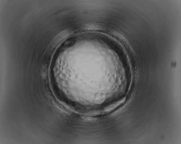 X0000091240833200708231715