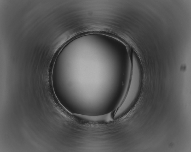 X0000091240834200708231715