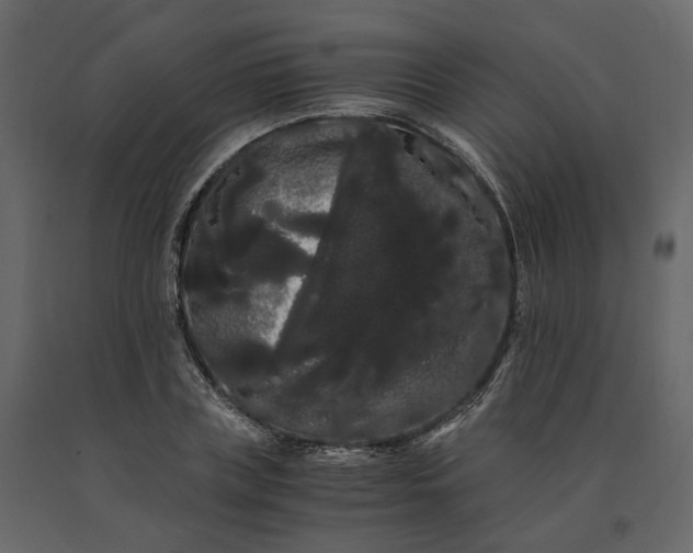 X0000091240835200708231715