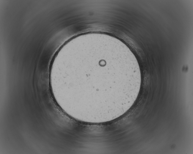 X0000091240836200708231715