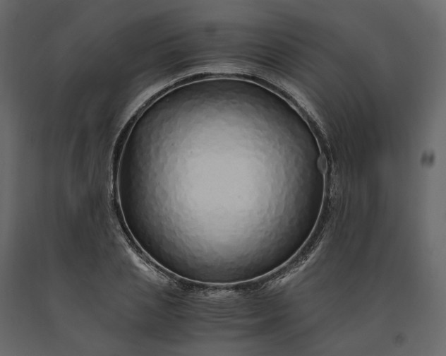 X0000091240837200708231715