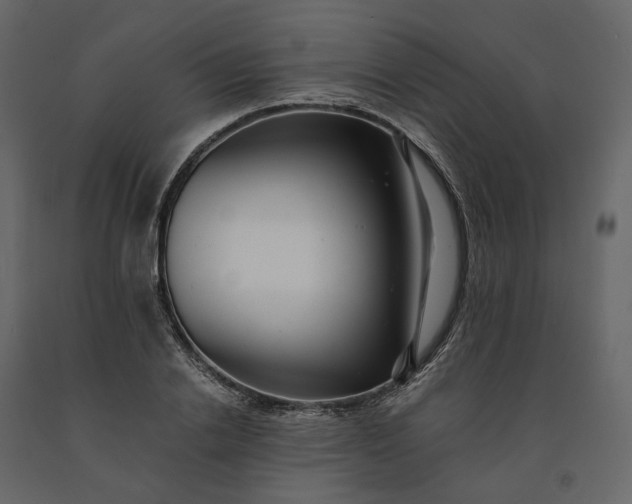 X0000091240838200708231715