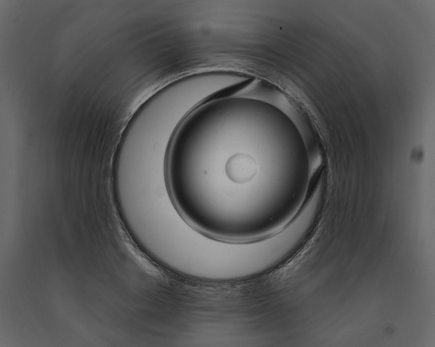 X0000091240842200708231715