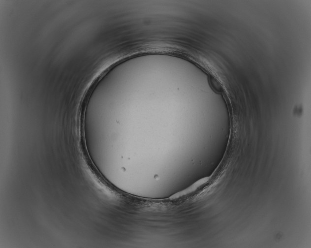 X0000091240843200708231715