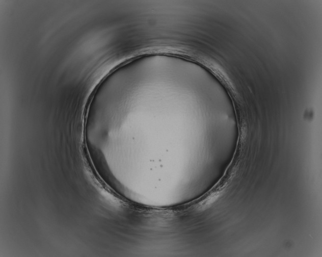 X0000091240844200708231715