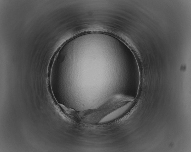 X0000091240845200708231715
