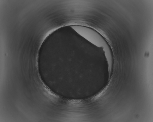 X0000091240846200708231715