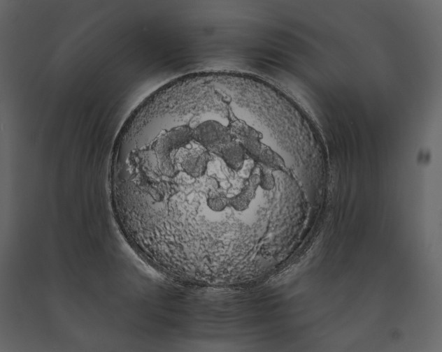 X0000091240847200708231715