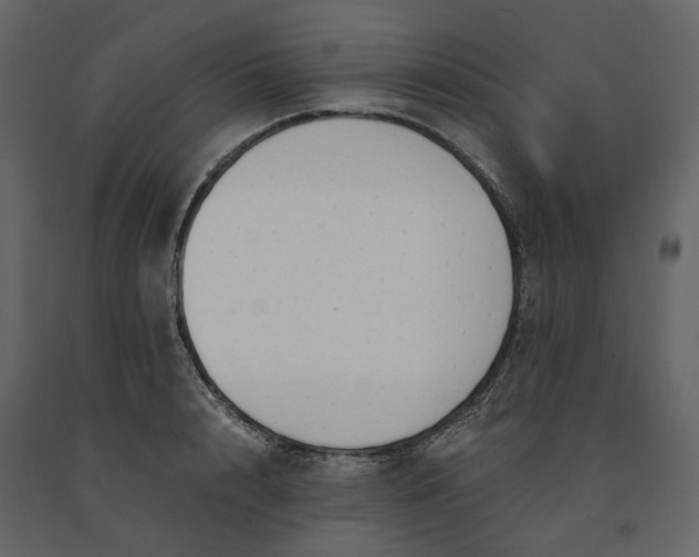 X0000091240848200708231715