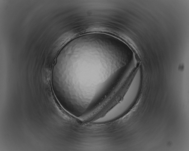 X0000091240849200708231715
