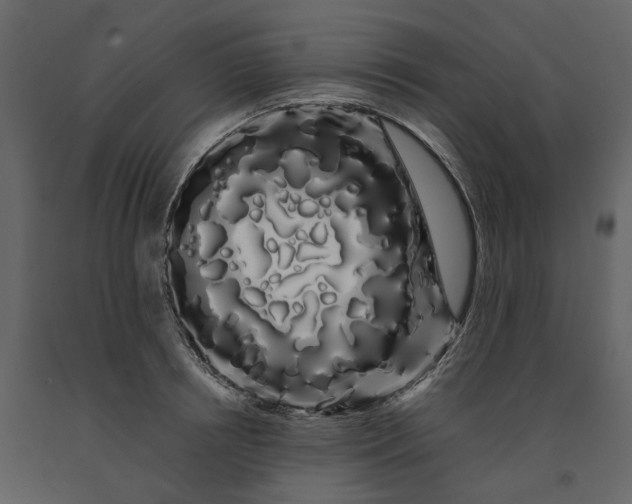 X0000091240850200708231715
