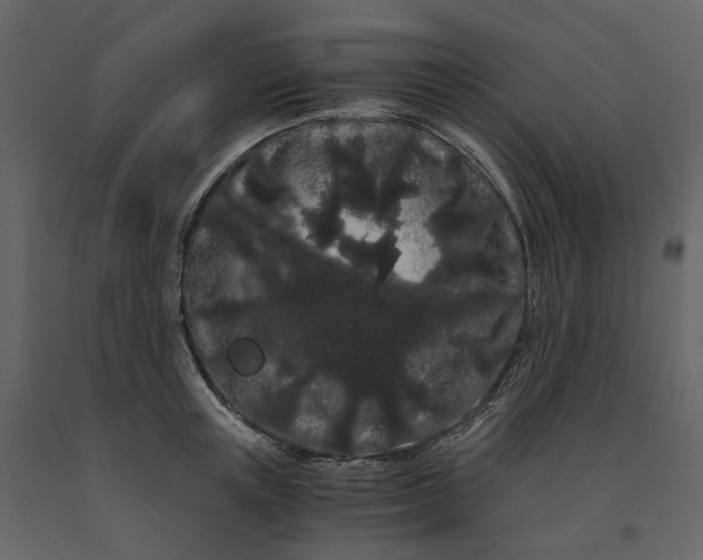 X0000091240851200708231715