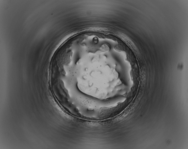 X0000091240852200708231715