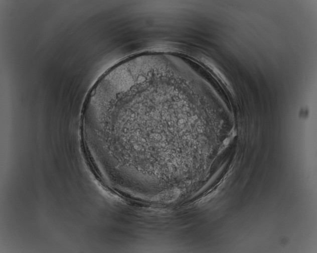 X0000091240853200708231715