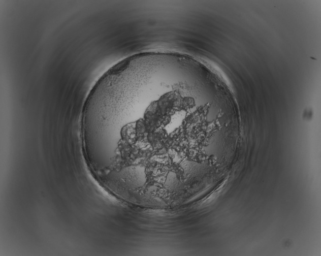 X0000091240855200708231715