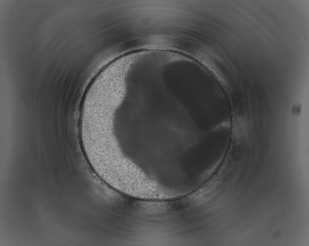 X0000091240856200708231715