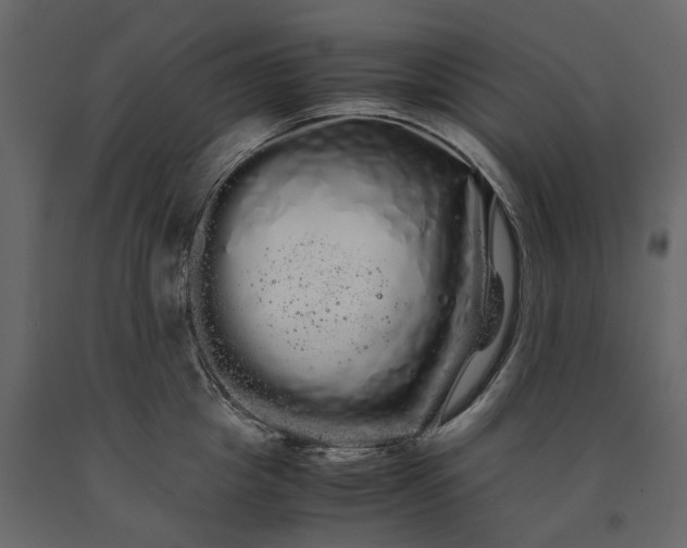 X0000091240857200708231715