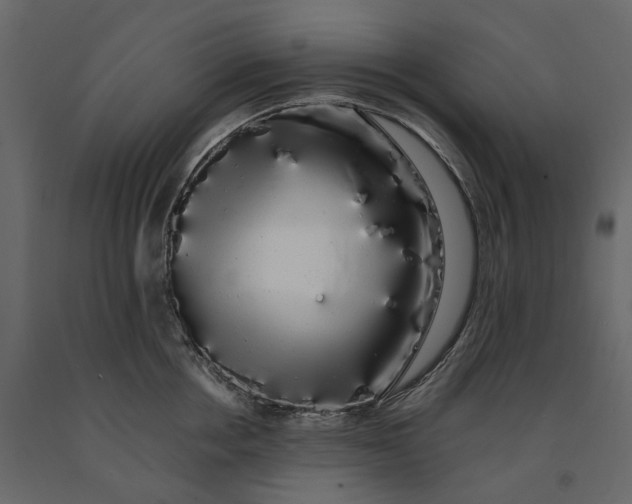 X0000091240858200708231715