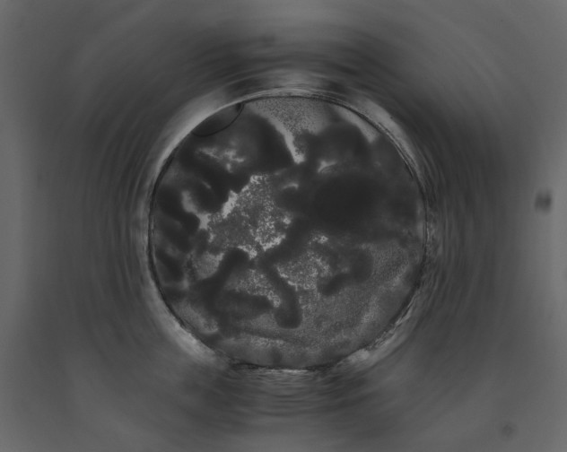 X0000091240859200708231715