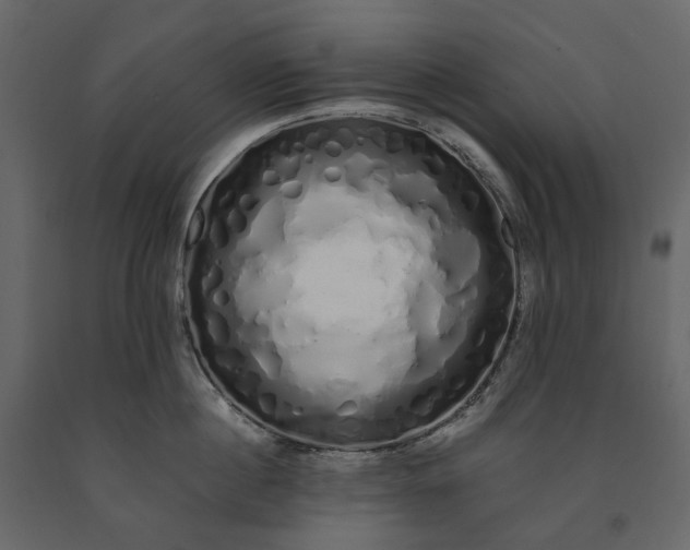X0000091240860200708231715