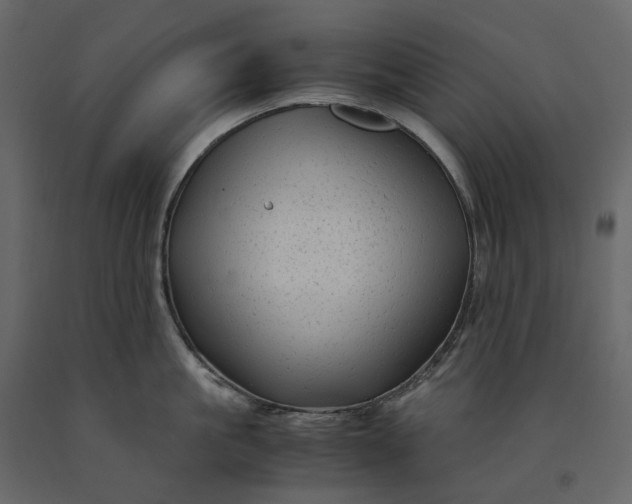 X0000091240861200708231715