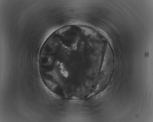 X0000091240863200708231715