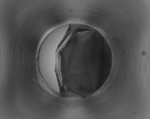 X0000091240864200708231715