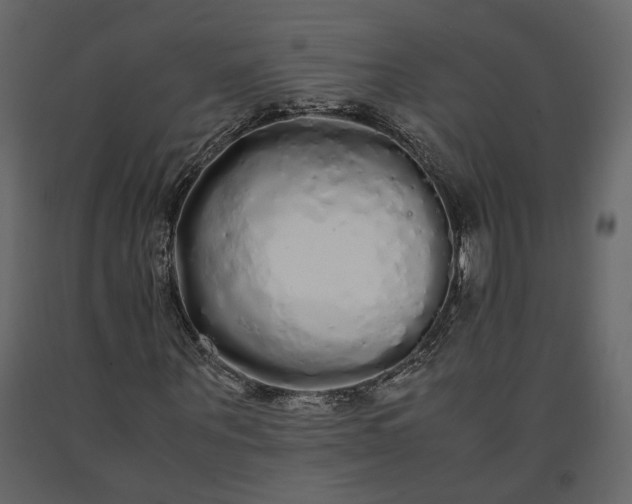 X0000091240867200708231715