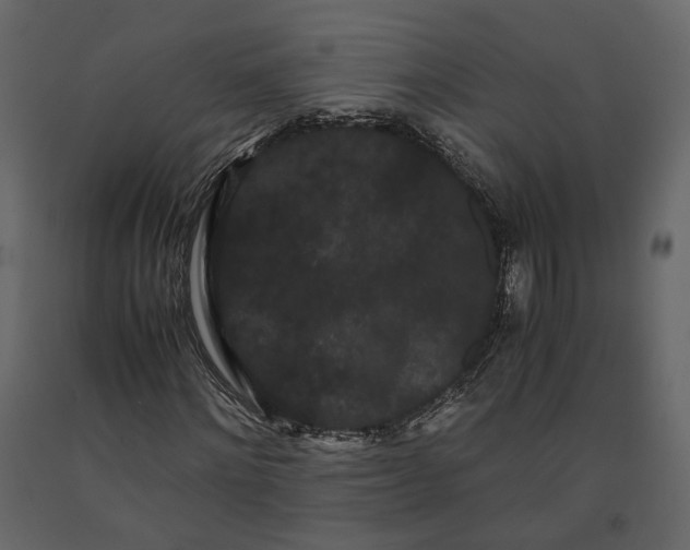 X0000091240868200708231715