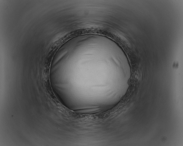 X0000091240869200708231715
