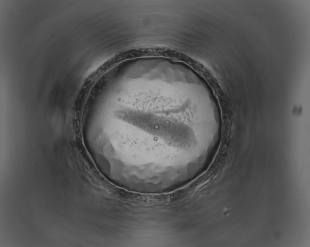 X0000091240871200708231715
