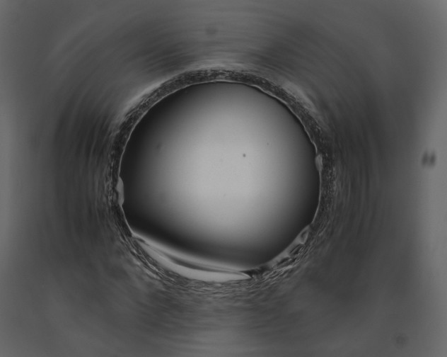 X0000091240872200708231715