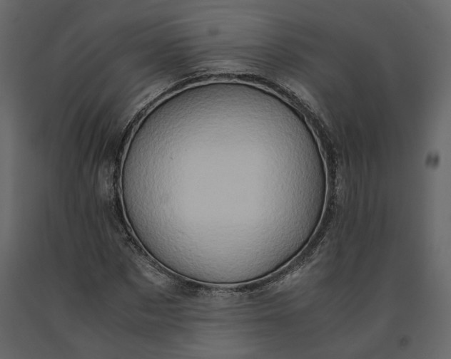 X0000091240873200708231715