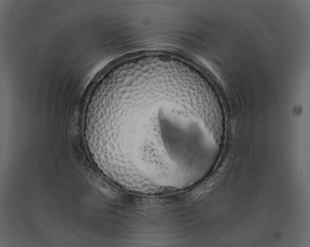 X0000091240875200708231715