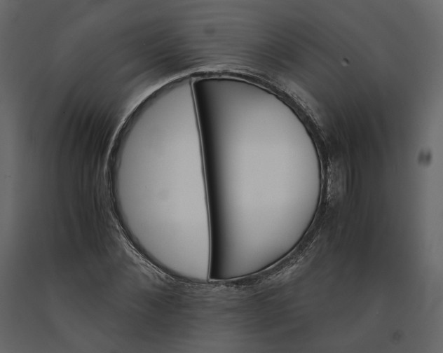 X0000091240876200708231715