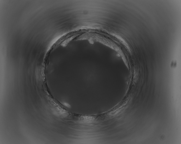 X0000091240878200708231715